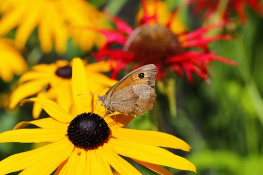 family planting in a colorful butterfly garden