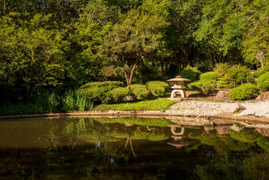 A beautifully designed pond with native plants