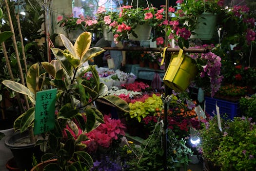 colorful garden with various plants