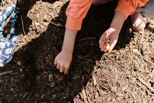 children planting seeds in a garden