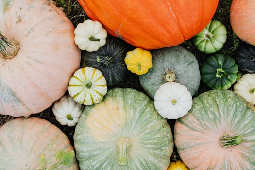 colorful vegetable garden in containers