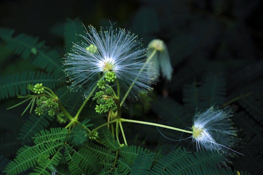 insect-friendly garden