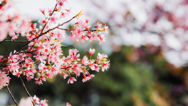 colorful eco-friendly gardening tools