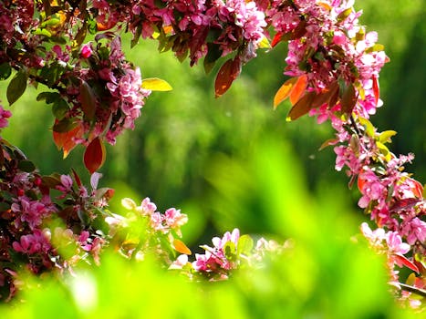 colorful flowers and leaves