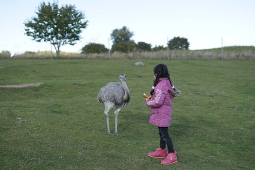 kids observing wildlife