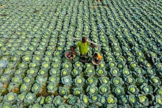 family working in the garden