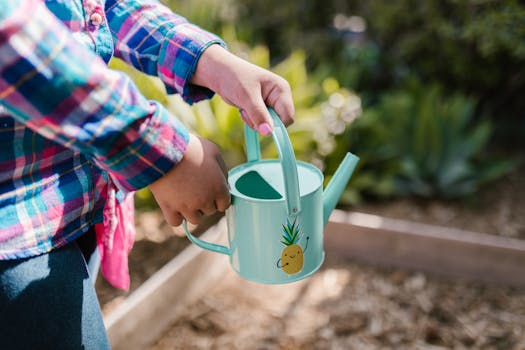 children planting a salad garden