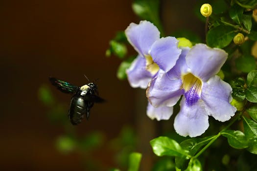 colorful garden with buzzing bees