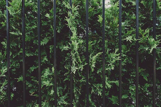 vertical garden in an urban setting