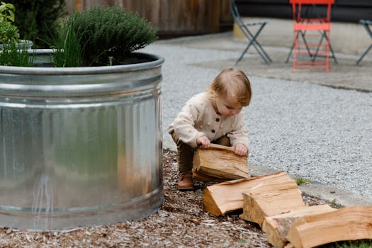 Children observing plant growth