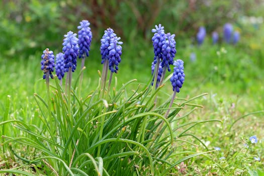 Colorful garden with flowers and vegetables