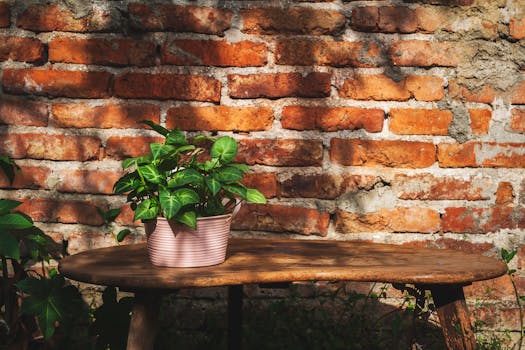 Sunlit garden space with kids planting